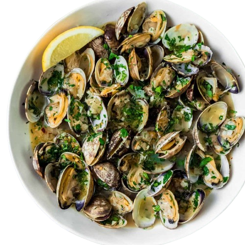 LIVE Eastern USA Littleneck Clams (Legs)