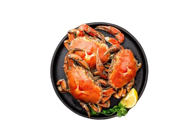 Males Steamed or Blue Crabs