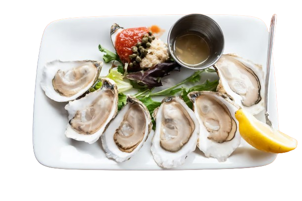 LIVE Northeastern Medium Oysters